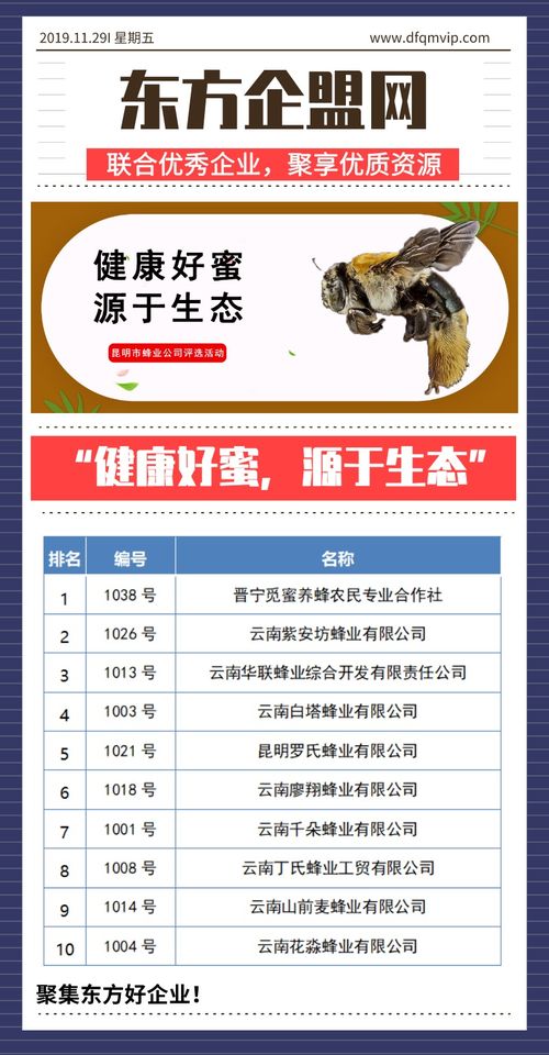 健康好蜜，源于生態——昆明市蜂業公司評選活動信息技術咨詢服務方案
